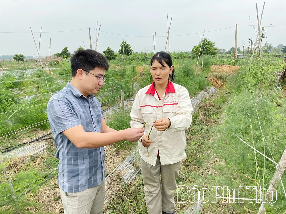 Tiên Lữ tập trung sản xuất nông nghiệp ứng dụng công nghệ cao