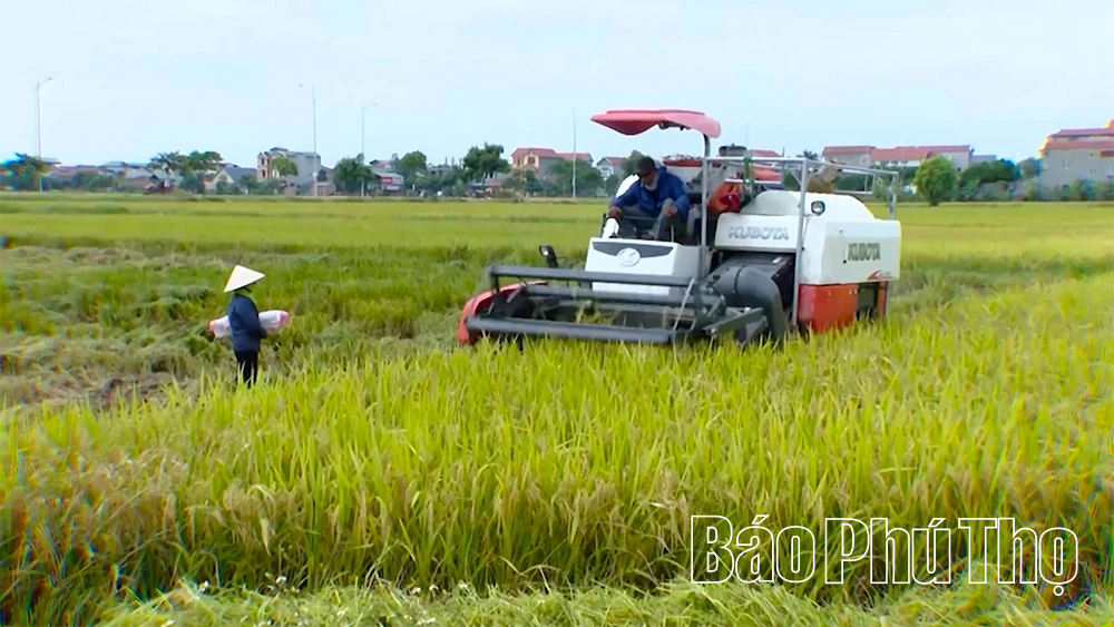 Xuân Lãng: Khi nghị quyết trở thành “hơi thở” cuộc sống