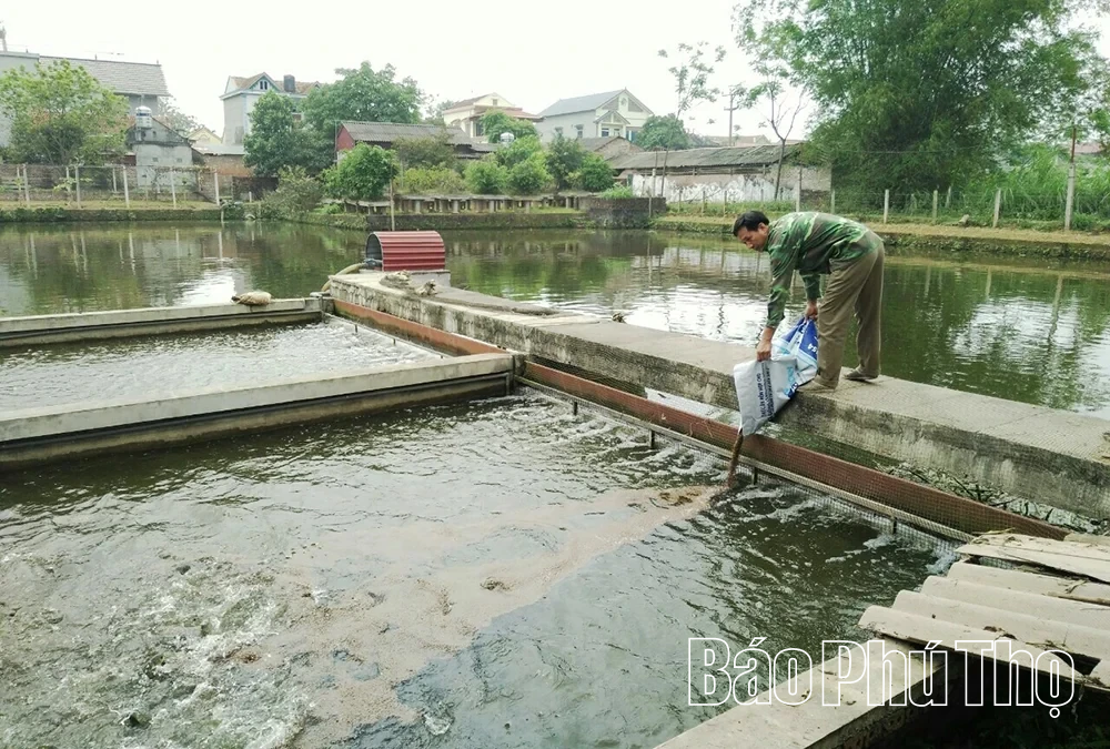 Để vụ nuôi thủy sản mới bội thu