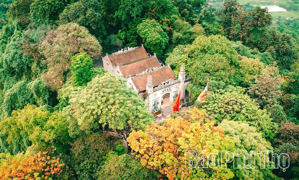 Như cây một cội, như con một nhà