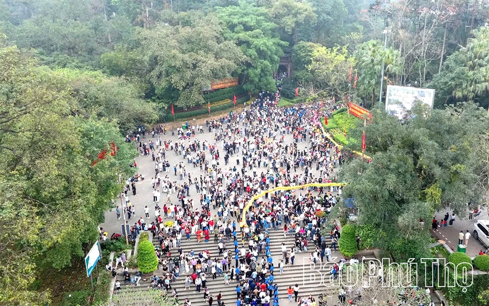 Như cây một cội, như con một nhà