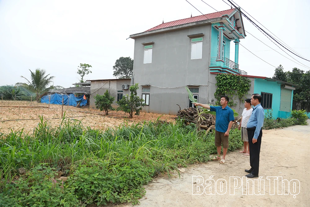 Đổi mới sản xuất nông nghiệp ở xã Đại Đình