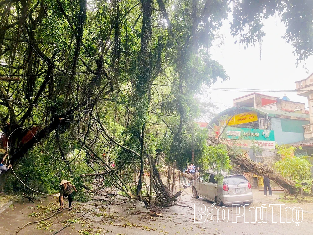 Chủ động ứng phó với mưa dông, lốc, mưa đá và các hiện tượng thời tiết nguy hiểm