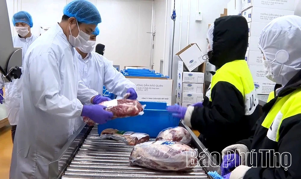 Phú Thọ siết chặt kiểm soát giết mổ động vật, tăng cường kỷ luật công vụ