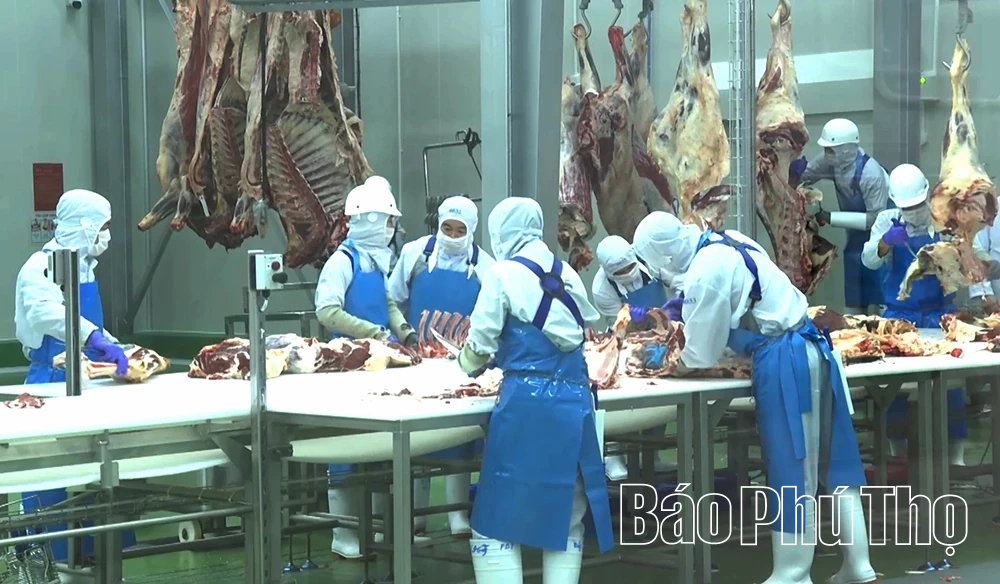 Phú Thọ siết chặt kiểm soát giết mổ động vật, tăng cường kỷ luật công vụ