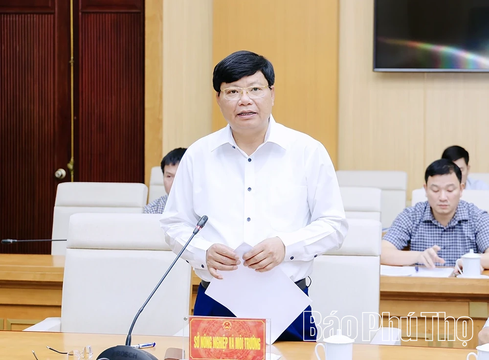 Nâng cao hiệu quả công tác chỉ đạo, điều hành phòng, chống thiên tai