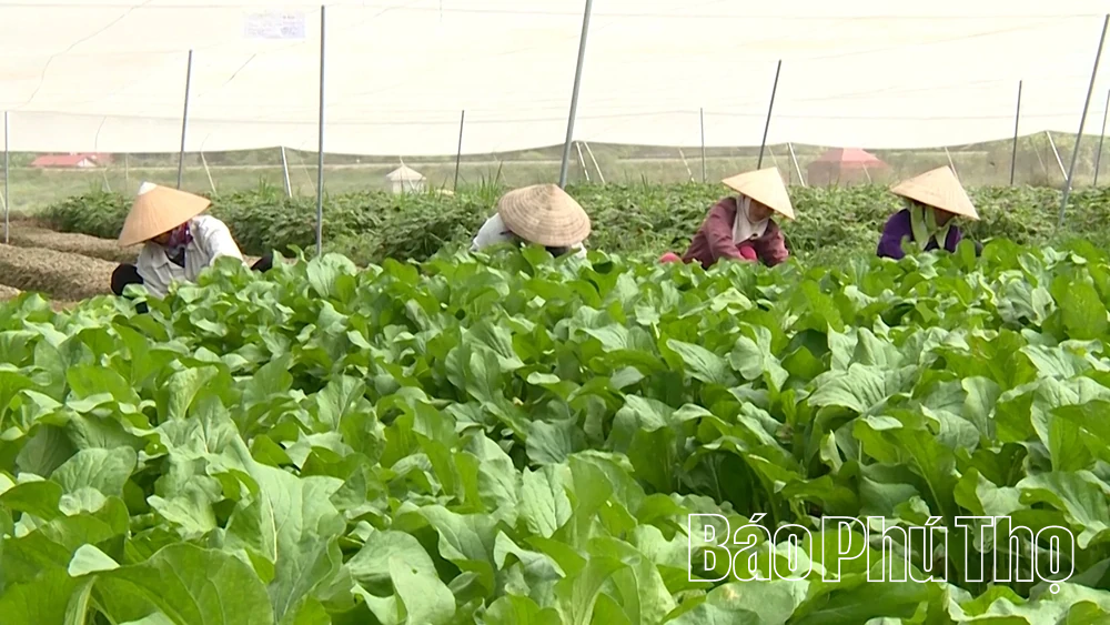 Xã Vĩnh Thành - khẳng định vai trò lãnh đạo của Đảng trong kỷ nguyên số