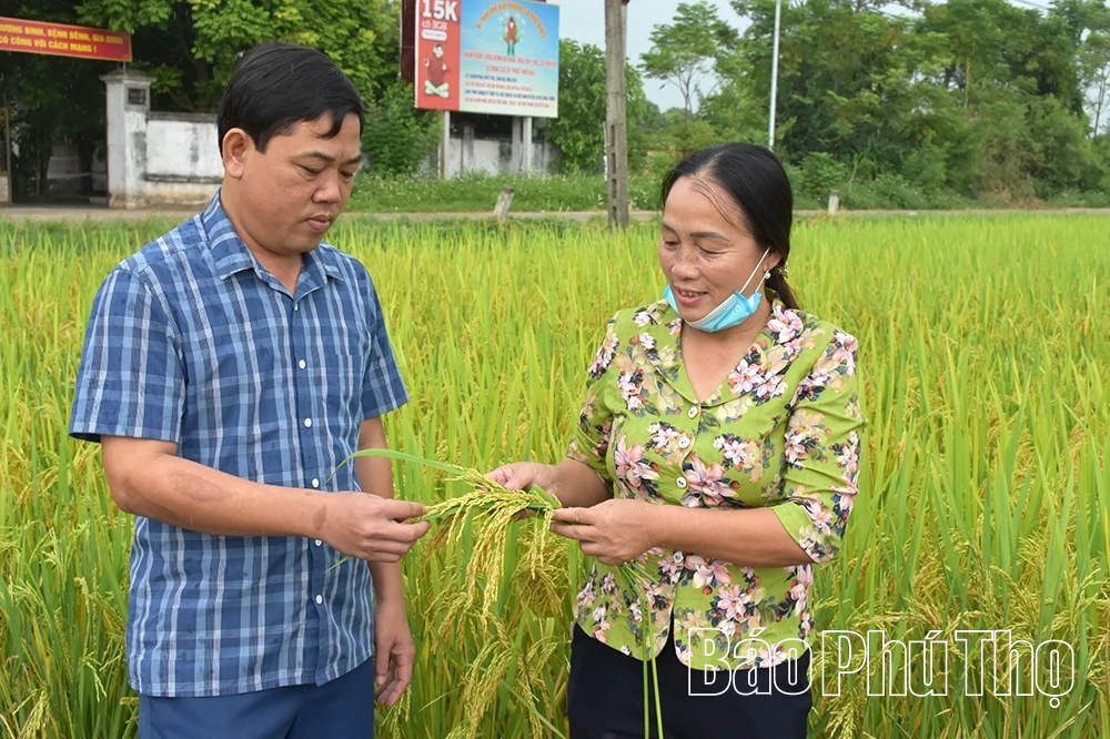 Điểm tựa của nông dân Nhân Lý