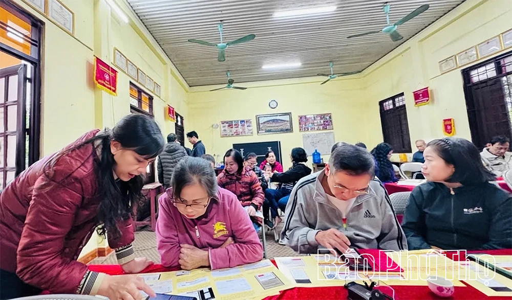 Những “hạt nhân số” ở cơ sở