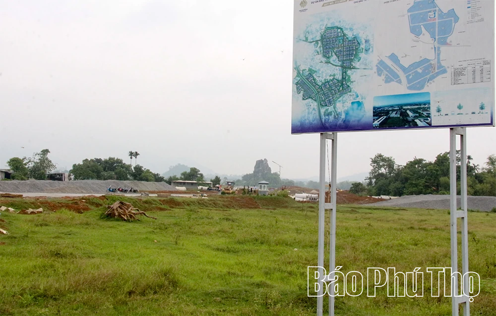 Quyết liệt triển khai Nghị quyết 01/NQ-CP, tạo đà tăng trưởng ngay từ quý I/2026