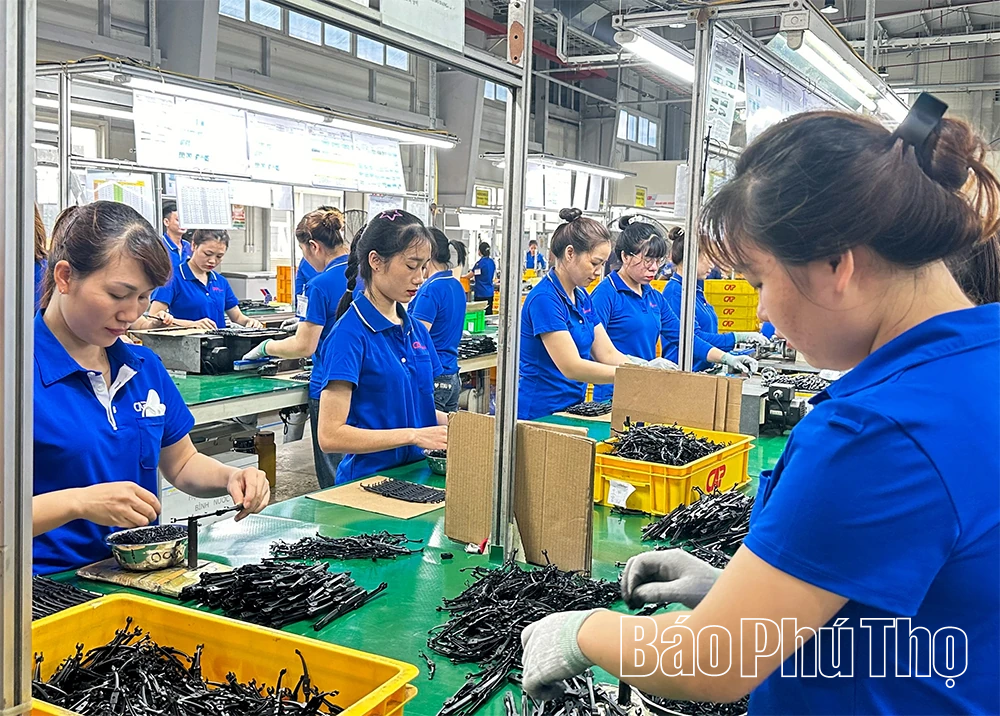 Quyết liệt triển khai Nghị quyết 01/NQ-CP, tạo đà tăng trưởng ngay từ quý I/2026