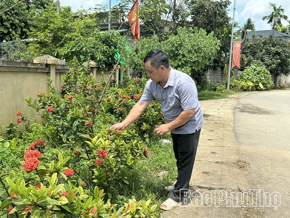 Dấu ấn nông dân xây dựng nông thôn mới ở xã Lương Sơn