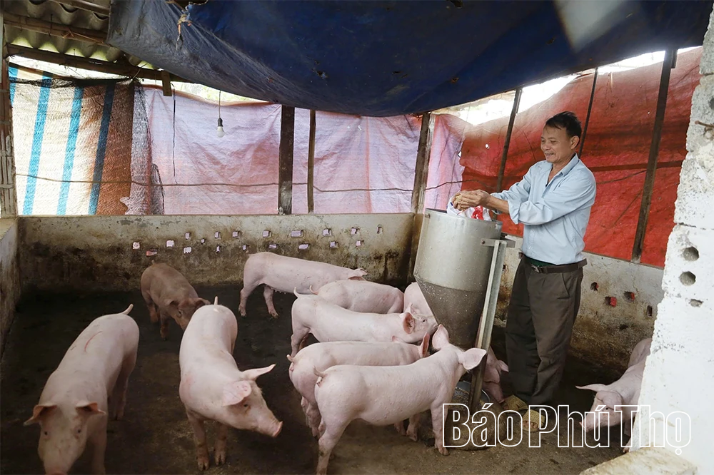 Dấu ấn nông dân xây dựng nông thôn mới ở xã Lương Sơn