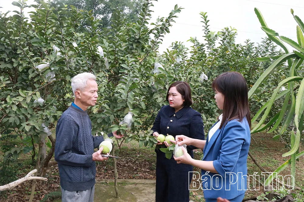 Dấu ấn nông dân xây dựng nông thôn mới ở xã Lương Sơn