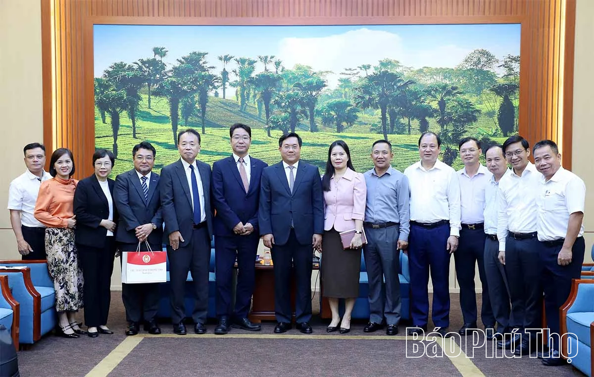 Chủ tịch UBND tỉnh Trần Duy Đông làm việc với Tập đoàn Meiko Nhật Bản