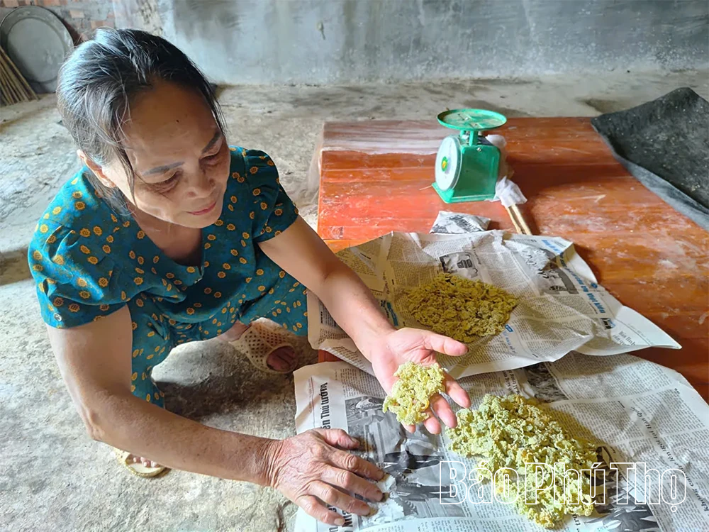 Phát triển kinh tế từ mô hình nuôi tằm