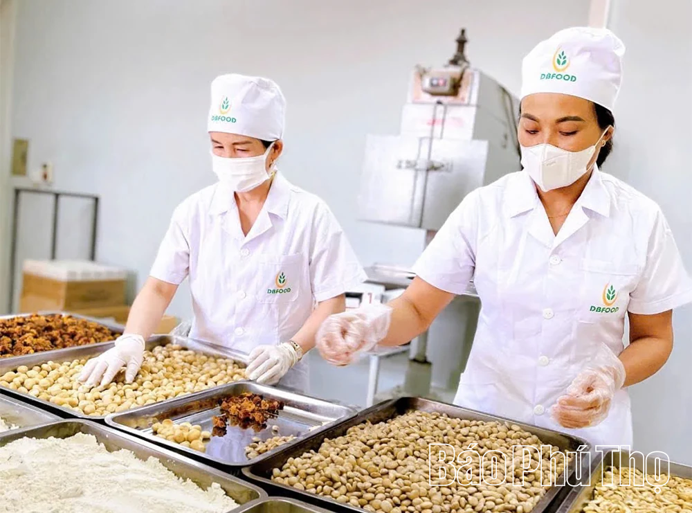 Xu hướng tiêu dùng xanh: Nắm bắt cơ hội để phát triển bền vững