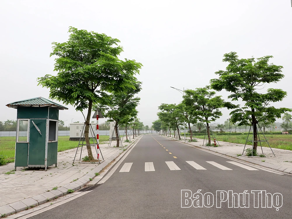 Kiểm tra, tháo gỡ vướng mắc Dự án Khu nhà ở tại xã Lương Sơn