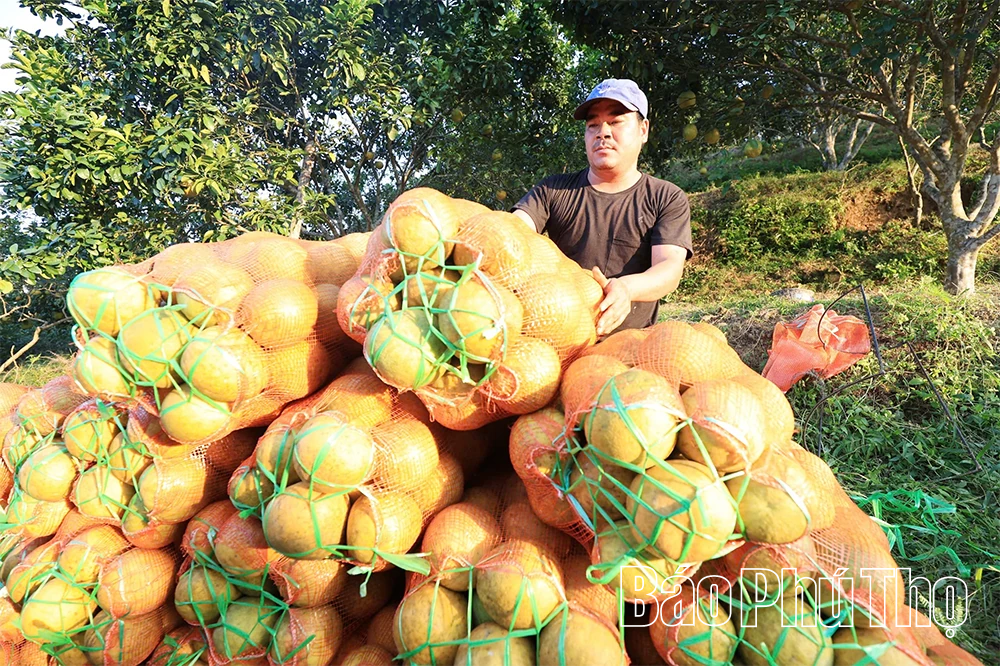 Nêu cao vai trò lãnh đạo ở Tân Lạc