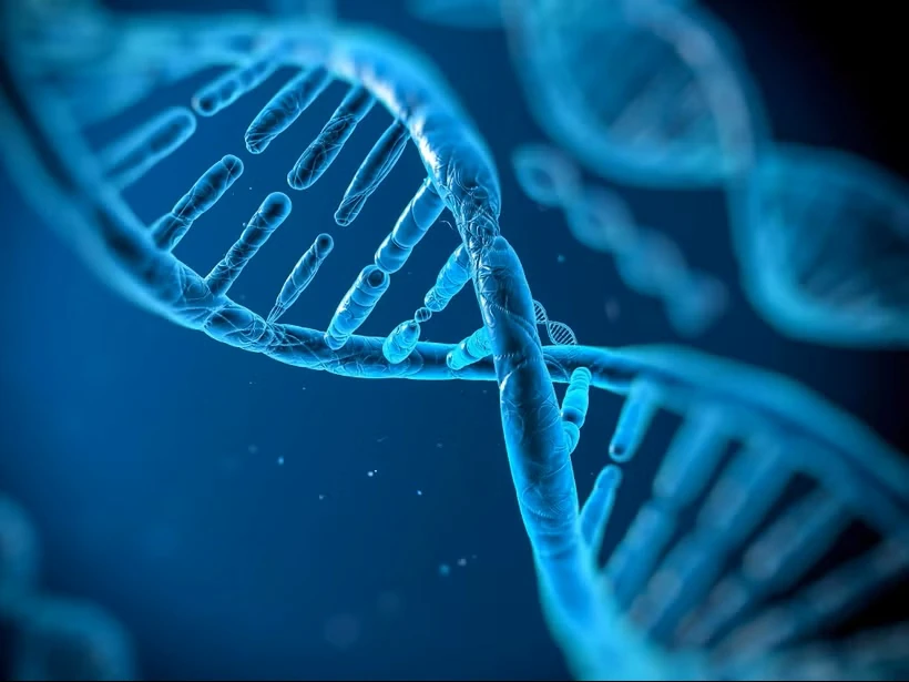 Hé lộ khác biệt trong hoạt động gene giữa tế bào não nam và nữ