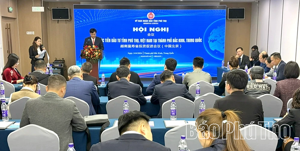 Xúc tiến đầu tư, mở rộng hợp tác chiến lược với doanh nghiệp Trung Quốc