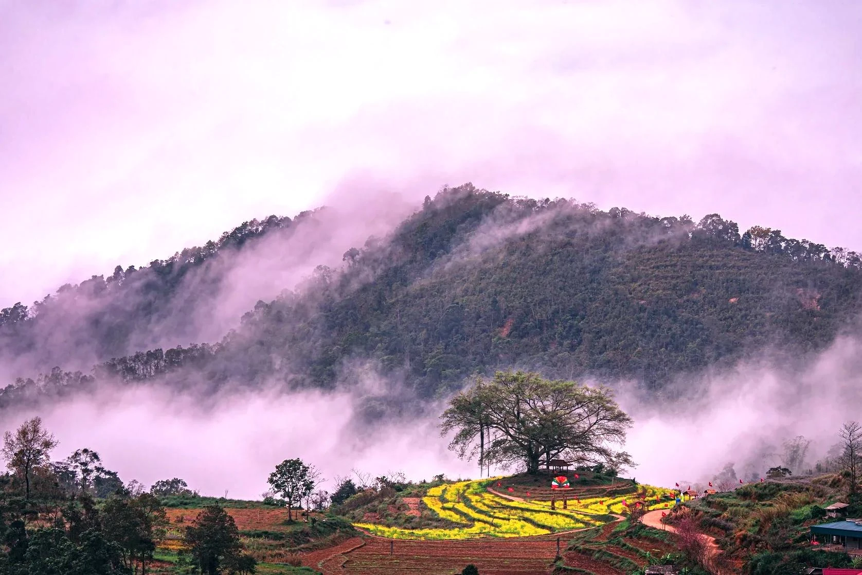 Hành trình lặng lẽ của Đinh Mạnh Hưng - Đi để giữ lại ký ức xứ Mường