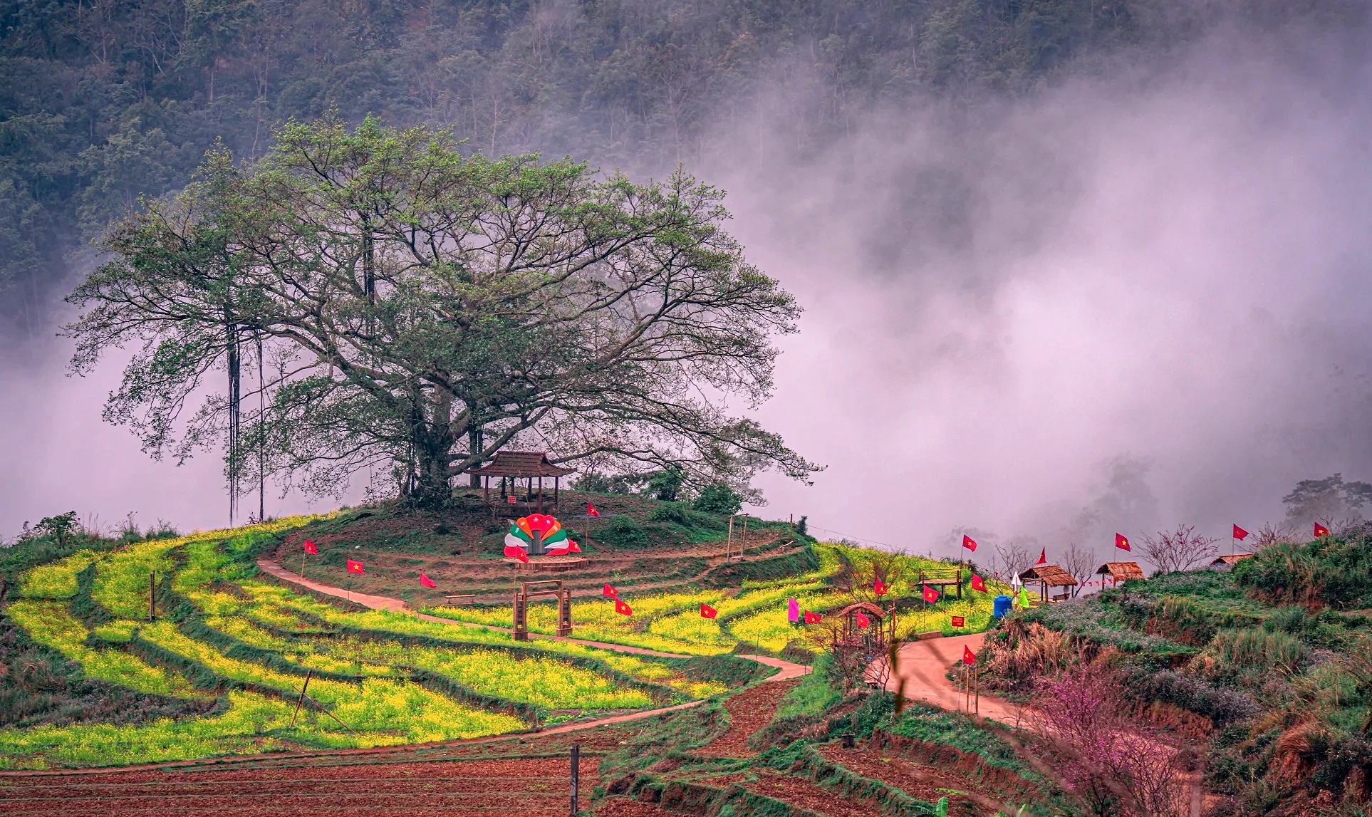 Hành trình lặng lẽ của Đinh Mạnh Hưng - Đi để giữ lại ký ức xứ Mường