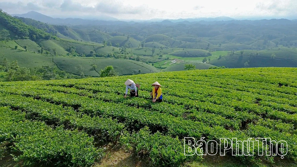 “Kiềng ba chân” tăng trưởng kinh tế du lịch