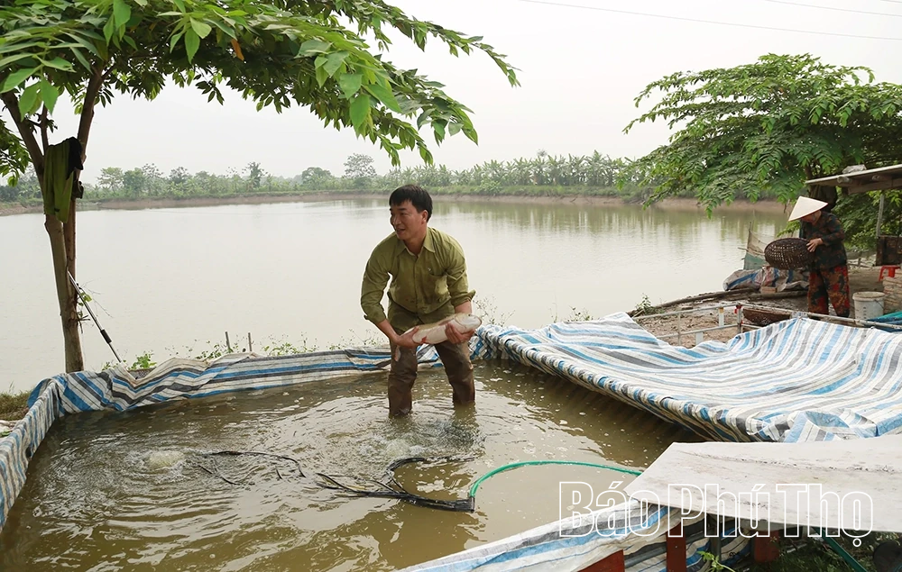 Liên Châu phát huy hiệu quả mô hình kinh tế hộ gia đình