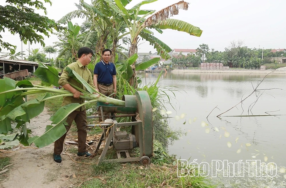 Liên Châu phát huy hiệu quả mô hình kinh tế hộ gia đình