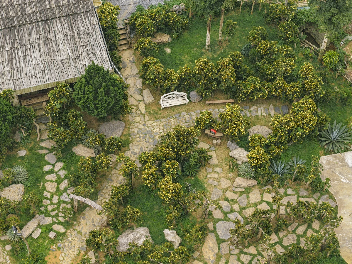 Vườn xương rồng cổ 5.000 m2 nở rộ ở Mộc Châu