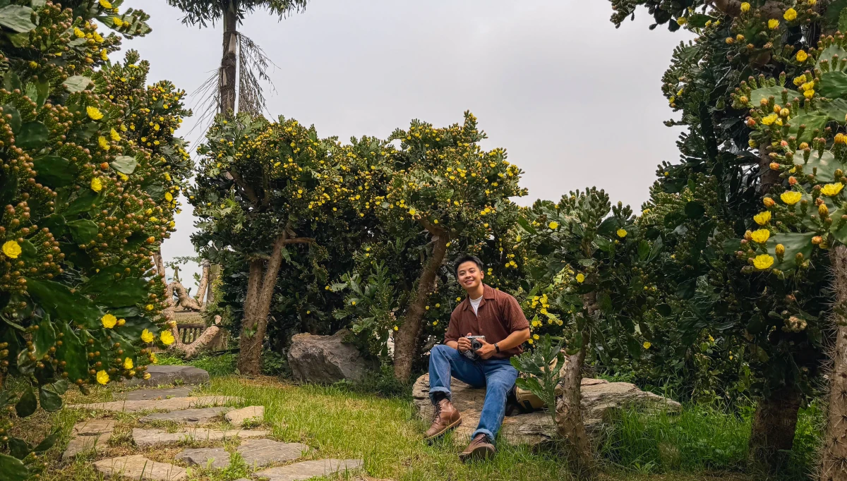 Vườn xương rồng cổ 5.000 m2 nở rộ ở Mộc Châu