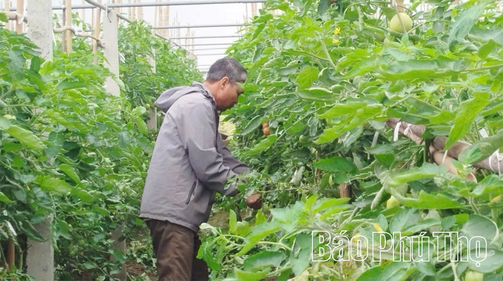 Chủ động thích ứng khi giá vật tư nông nghiệp tăng cao