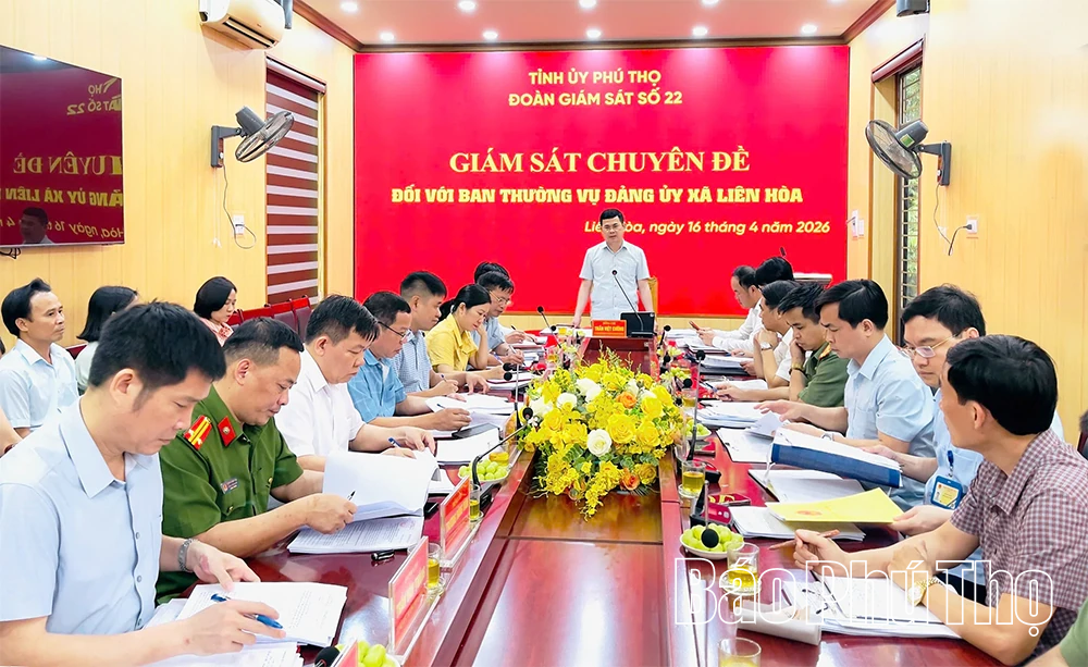 Giám sát chuyên đề đối với Ban Thường vụ Đảng ủy xã Liên Hòa