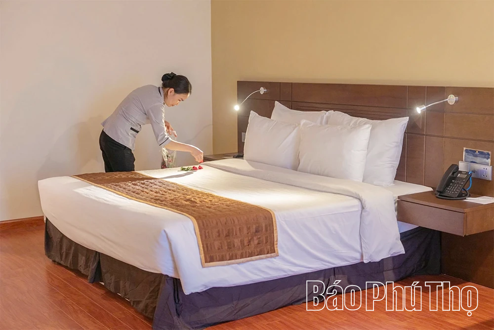 Các cơ sở lưu trú sẵn sàng phục vụ du khách