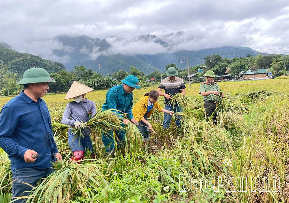 “Ngày thứ Bảy cùng dân” - Khi cán bộ thực sự “xuống dân, cùng dân”