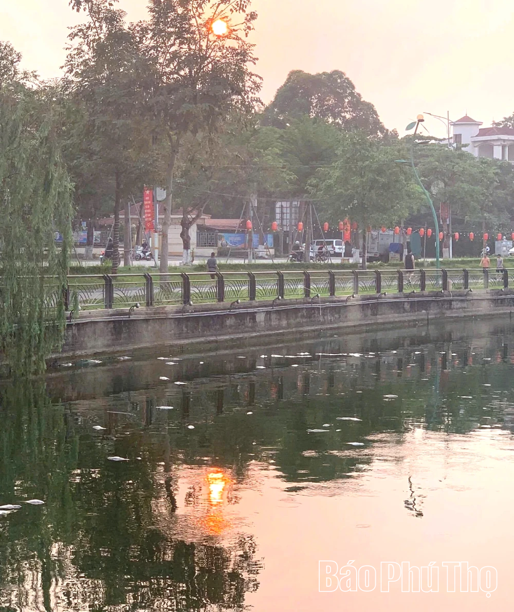 Khẩn trương xử lý hiện tượng cá chết hàng loạt tại hồ Công viên Văn Lang