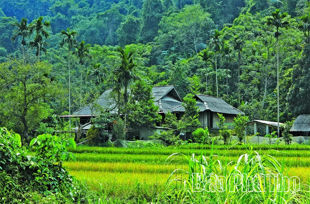 Thác Mu - Điểm hẹn du lịch cuối tuần