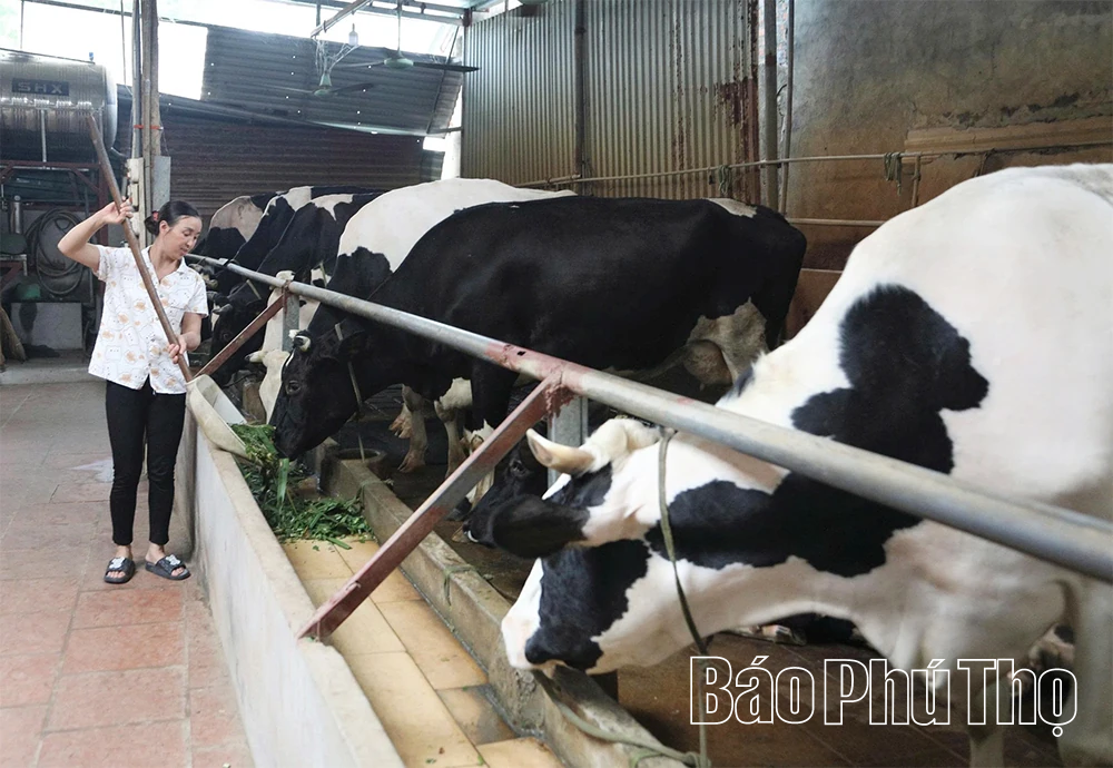 Khẩn trương triển khai biện pháp ngăn chặn chủng vi rút Lở mồm long móng mới (SAT1) xâm nhập