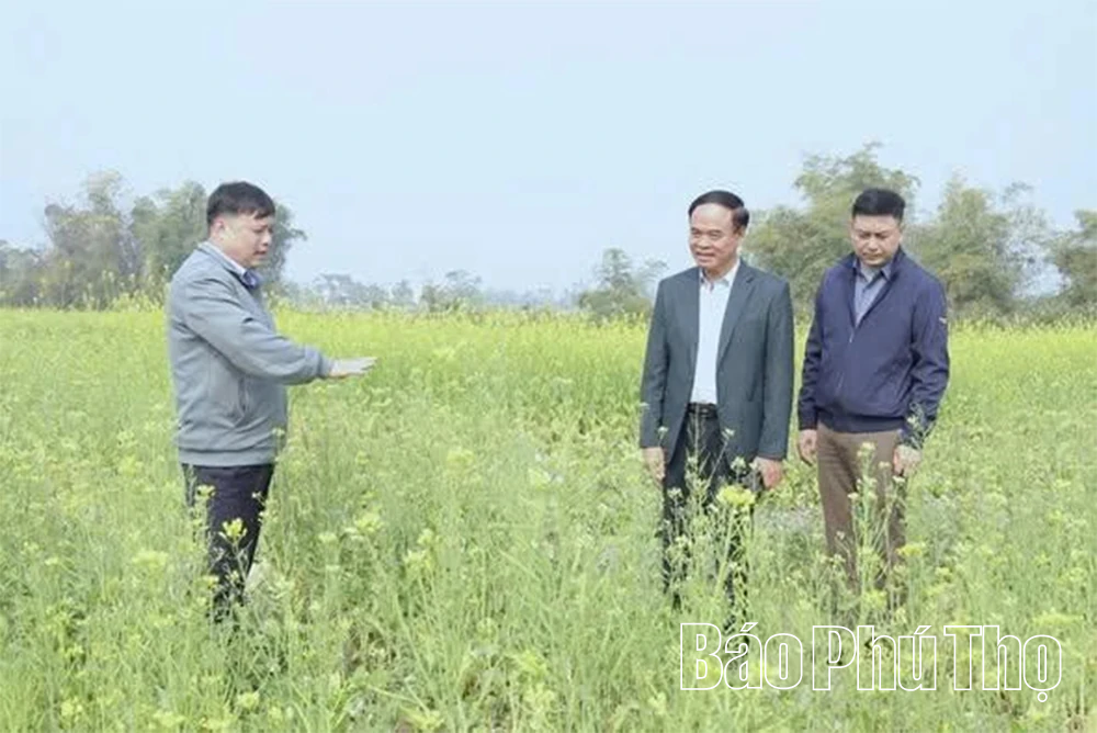 Đảng bộ xã Đạo Trù phát huy vai trò lãnh đạo toàn diện trong phát triển kinh tế