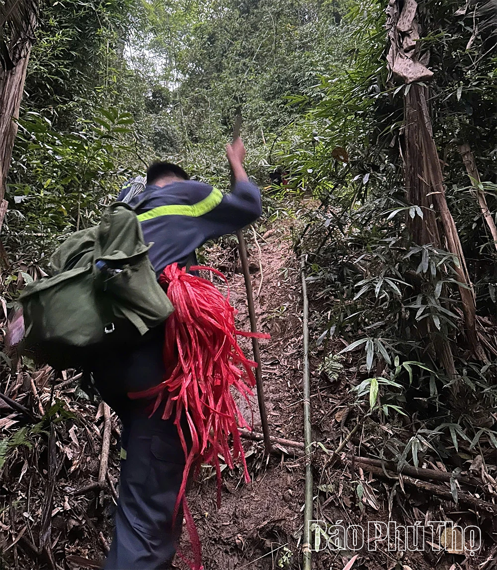 Tìm thấy nam sinh bị mất liên lạc khi leo núi Tam Đảo