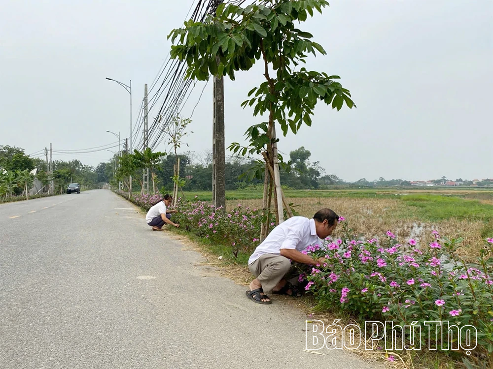 Vĩnh An tập trung nguồn lực xây dựng nông thôn mới nâng cao