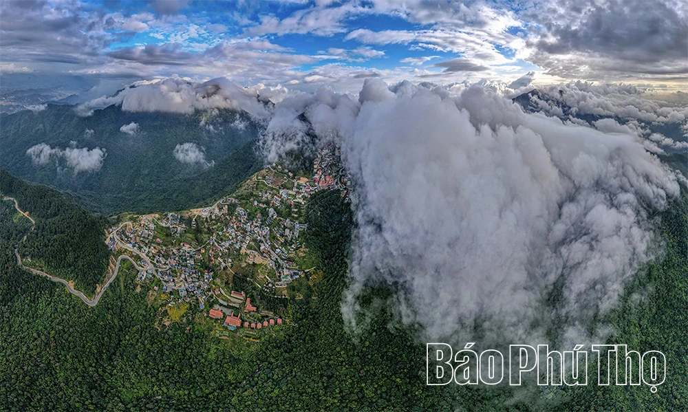 Du lịch Tam Đảo 2026: Hấp dẫn từ cảnh quan đến dịch vụ