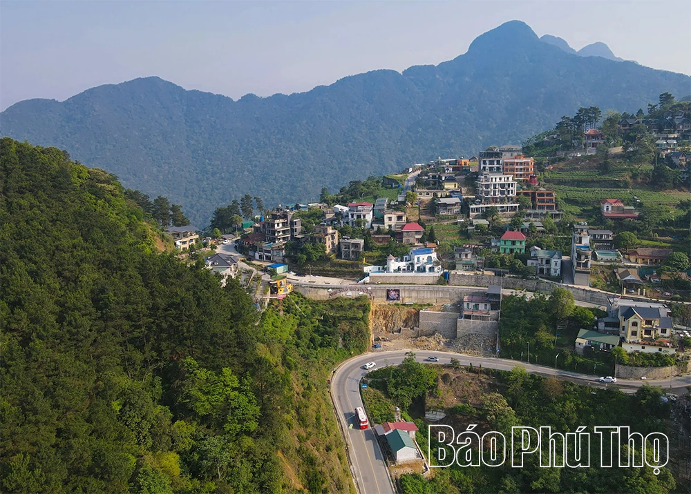 Du lịch Tam Đảo 2026: Hấp dẫn từ cảnh quan đến dịch vụ