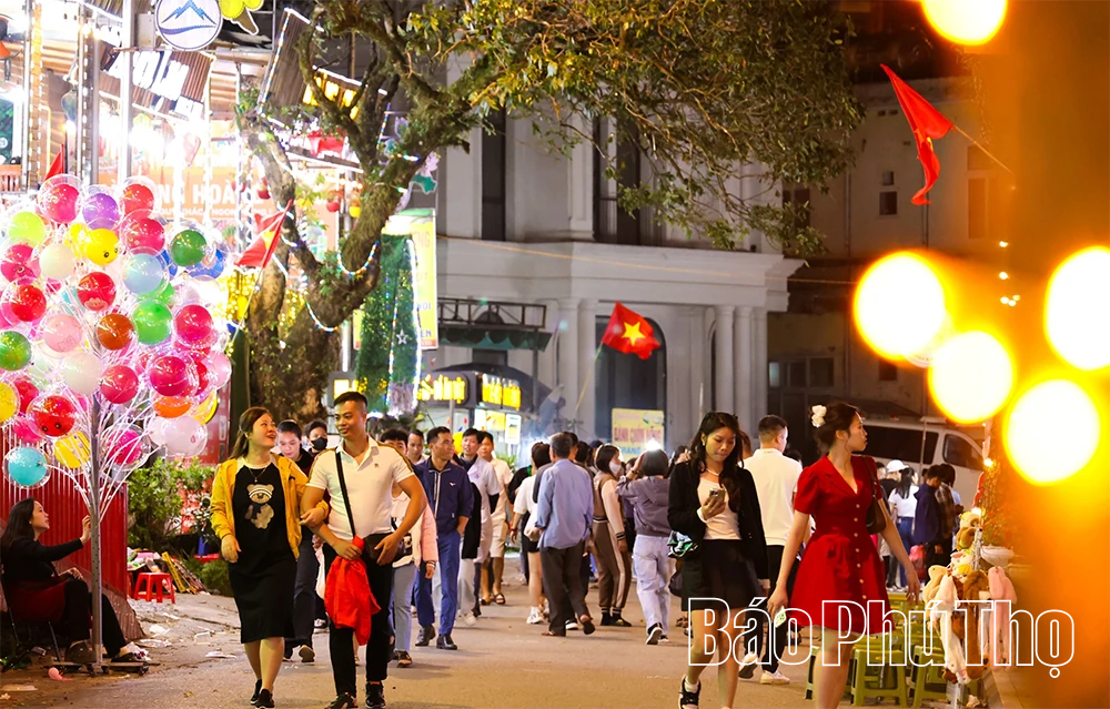 Du lịch Tam Đảo 2026: Hấp dẫn từ cảnh quan đến dịch vụ