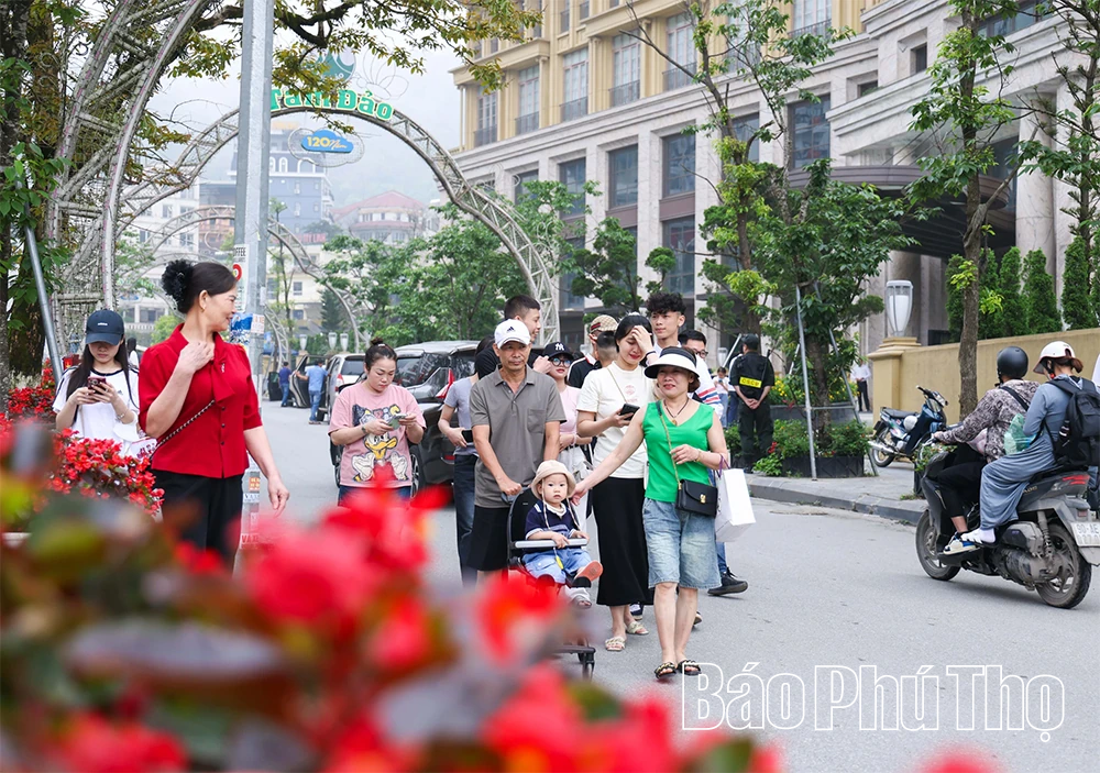 Du lịch Tam Đảo 2026: Hấp dẫn từ cảnh quan đến dịch vụ