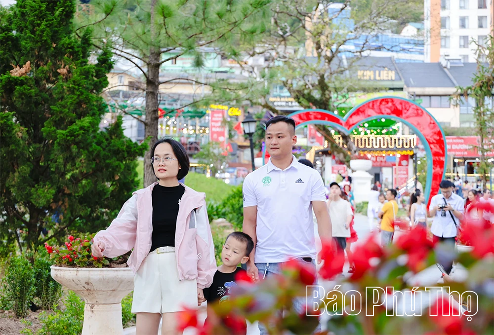 Du lịch Tam Đảo 2026: Hấp dẫn từ cảnh quan đến dịch vụ