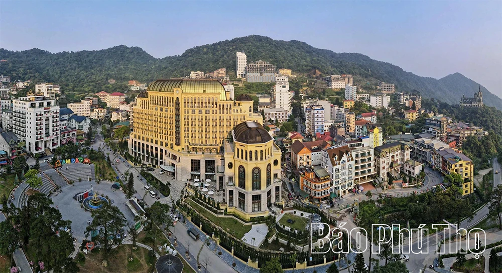 Du lịch Tam Đảo 2026: Hấp dẫn từ cảnh quan đến dịch vụ