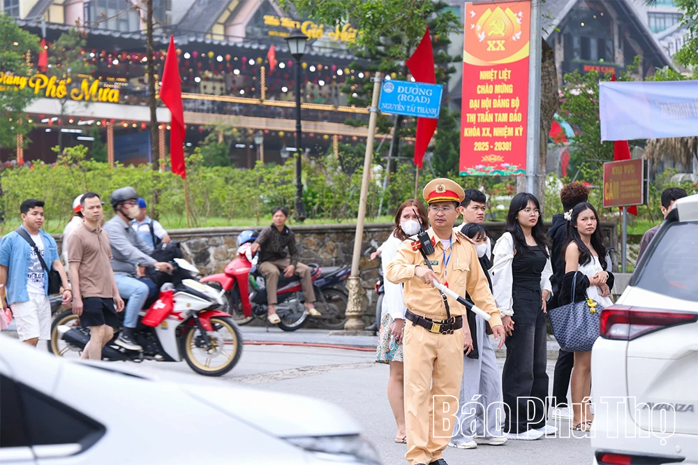 Du lịch Tam Đảo 2026: Hấp dẫn từ cảnh quan đến dịch vụ