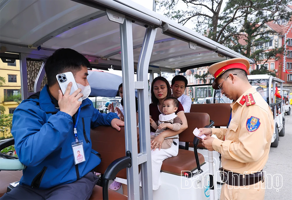 Du lịch Tam Đảo 2026: Hấp dẫn từ cảnh quan đến dịch vụ